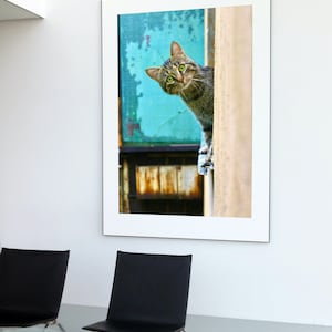 Peeking Cat Digital Print, Funny Wall Art (Digital Download) image 1
