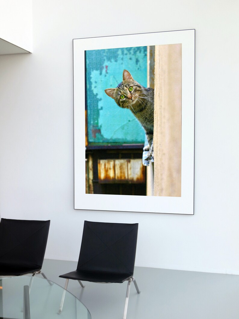 Peeking Cat Digital Print, Funny Wall Art (Digital Download) image 1