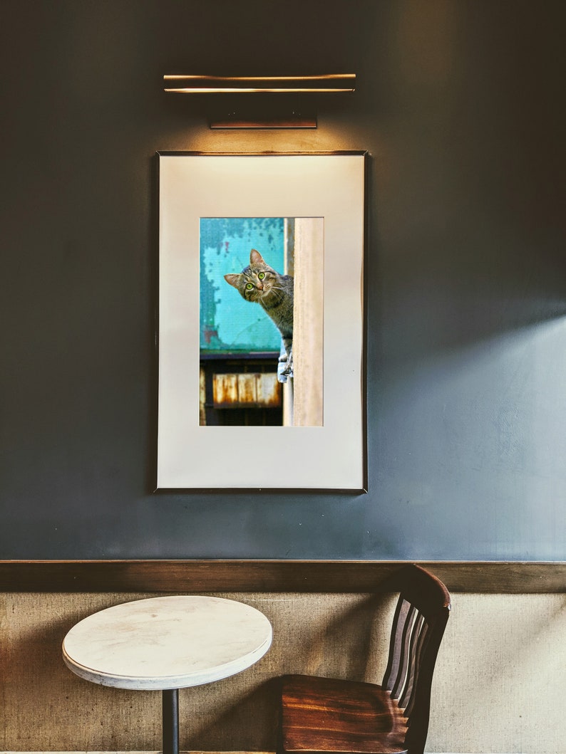 Peeking Cat Digital Print, Funny Wall Art (Digital Download) image 3