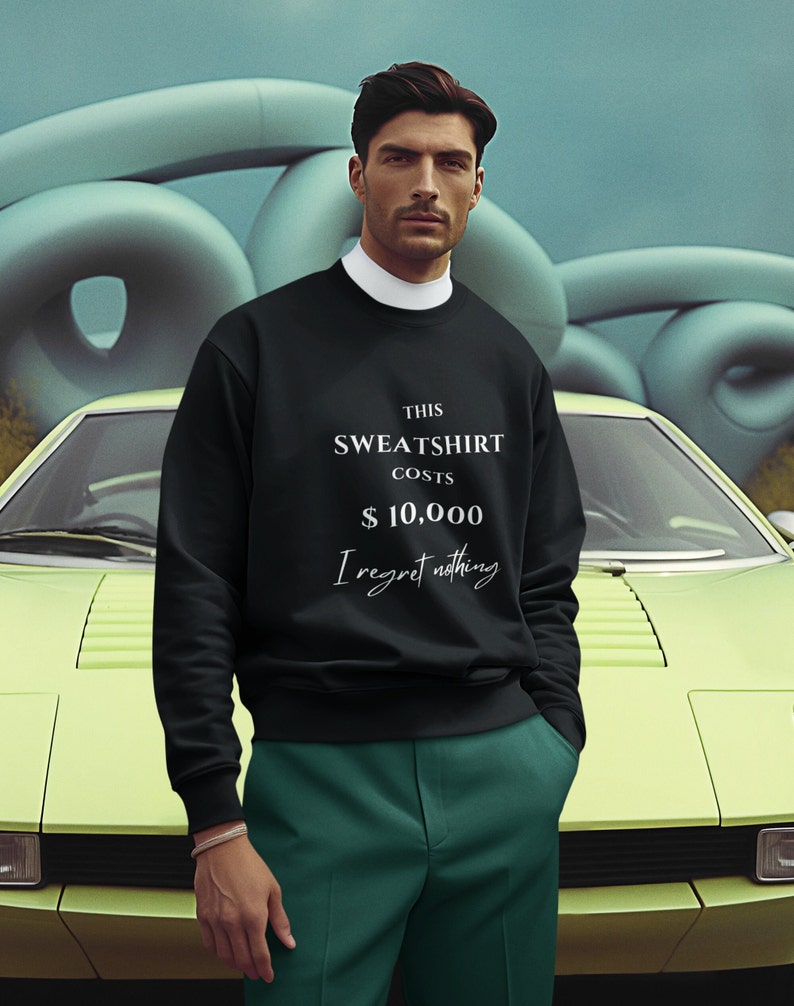 THIS SWEATER COSTS 10,000 Dollar. I regret nothing. Lustiger Spruch Pullover witziges Sweatshirt image 2