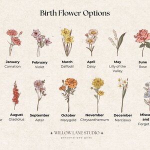 Birth flower options chart:
Complete birth flower options guide showing all 12 months plus miscarriage and loss flower, hand-drawn botanical illustrations of carnation, violet, daffodil, daisy, lily of the valley, rose, larkspur, gladiolus, aster, marigold, chrysanthemum and narcissus