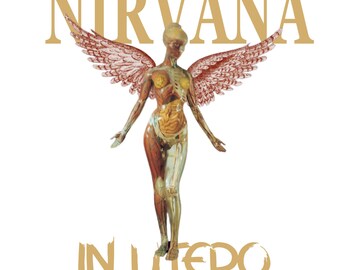 Nirvana In Utero Vinyl Record (12 Yellow Vinyl Limited Edition) LP GEF  24536 Geffen Records 1993 Record Sale