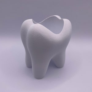 May include: White ceramic planter shaped like a tooth. The planter has a smooth, matt finish and a wide opening at the top.