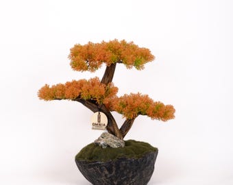 Calypso-bonsai - 6-2 - handgemaakte miniatuurbonsaiboom voor alle woonruimtes, boomkunst, boomdecor, bonsaikunst, huisdecoratie, tafelblad