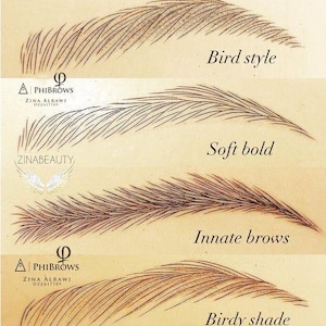 May include: Four different eyebrow shapes drawn on a white background. The shapes are labelled "Bird style", "Soft bold", "Innate brows", and "Birdy shade".