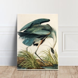 John James Audubon Canvas Wall Art Great Blue Heron Poster Print Canvas