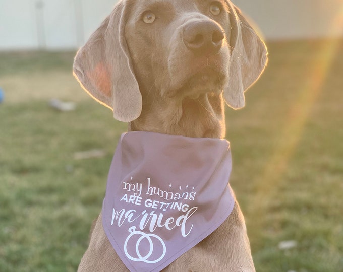 My Humans Are Getting Married Dog Bandana, Wedding, Marry Me, Dog of Honor, Mans Best Friend, Best Man, bride and groom, Wedding day bandana