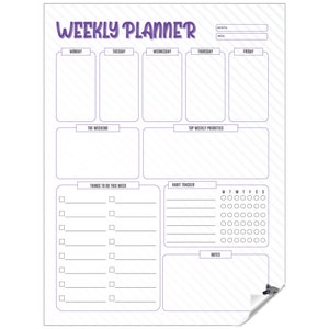 Planner settimanale cancellabile a secco 2024-2025, modello 4 Pianifica facilmente la tua giornata e la tua settimana con il planner mensile, settimanale e giornaliero personalizzato.
