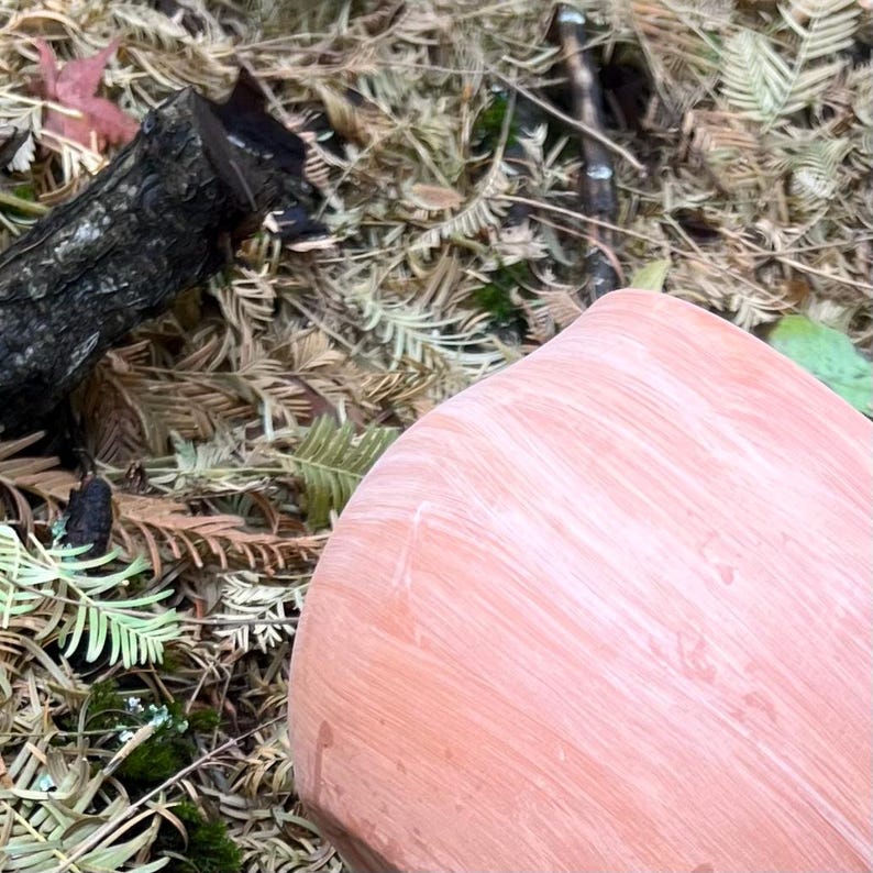Bulb Planter in Terracotta - Etsy