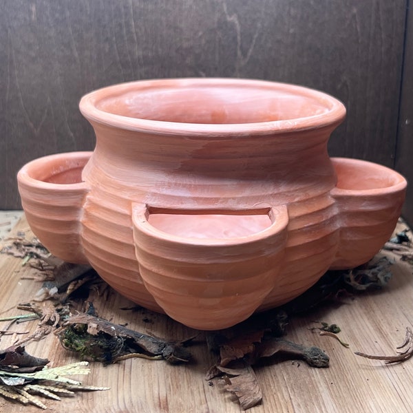 Small Strawberry Plant Pot or Planter made of Terracotta