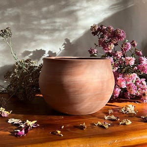 Può includere: Un vaso in terracotta di forma rotonda e bulbosa. Il vaso è appoggiato su una superficie di legno con petali di fiori secchi sparsi intorno.