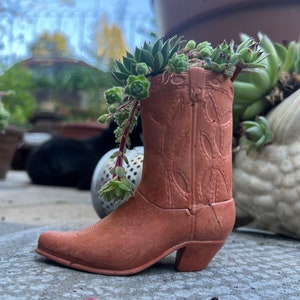 Peut inclure: Un pot de cowboy en terre cuite avec une plante succulente qui pousse. La botte est posée sur une surface en béton gris.