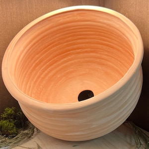 May include: A terracotta pot with a wide, round opening and a drainage hole at the bottom. The pot has a smooth, slightly textured surface and is a light orange colour.