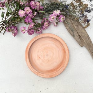 May include: A round, terracotta-colored ceramic dish with a slightly raised rim. The dish has a smooth, slightly textured surface and a light orange hue.