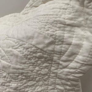 Embellished Cream Cotton Pillow Sham: Luxurious Soft Detailing (20x30 inches)