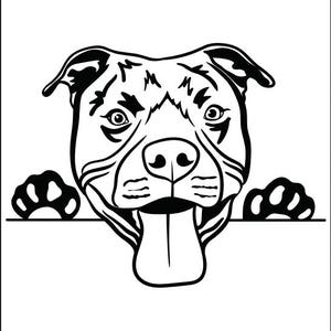 Dog Portrait Coloring Pages: Realistic Puppy Art (Instant Download)