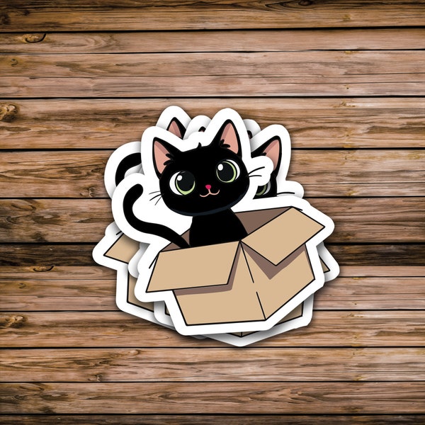 Cat in Box Sticker, Black Cat Decal, Kitty Sticker, Gifts for her, Gifts for him, Funny Cat Sticker, UV Weather Resistent Stickers
