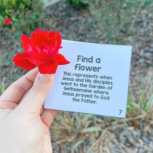May include: A white card with the text "Find a flower" and a description of the Garden of Gethsemane. The card is held in a hand with a red rose in the foreground.