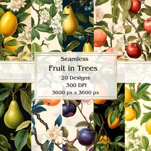 20 frutti sugli alberi Carta digitale senza soluzione di continuità, JPEG, 12" x 12", carta per scrapbooking, diario spazzatura, confezione di carta, uso commerciale