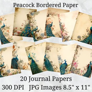 20 Peacock Bordered Aged Journal Paper, Digitaal Papier JPEG, 8,5" x 11", Scrapbookpapier, Junk Journal, Paper Pack, Commercieel Gebruik