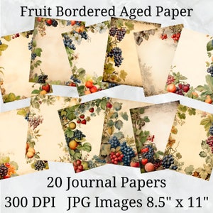 20 Fruit Bordered Aged Journal Paper, Papier numérique JPEG, 8,5 « x 11 », Papier scrapbook, Junk Journal, Paper Pack, Utilisation commerciale