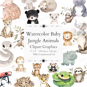 35 cliparts bébé animaux de la jungle PNG, chambre d'enfant, graphiques animaliers, téléchargement immédiat, usage Commercial