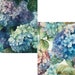 12 Watercolor Hydrangeas Digital Papers, JPEG, 12 X 12, Scrapbook Paper ...