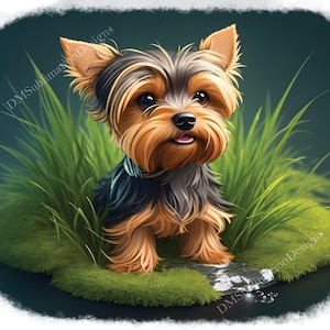 May include: A small, brown and black Yorkshire Terrier dog with long fur sits in a patch of green grass. The dog is looking at the camera with its tongue sticking out.