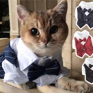 Cat Tuxedo Vest: Pinstripe Bow Tie Suit for Pet Wedding