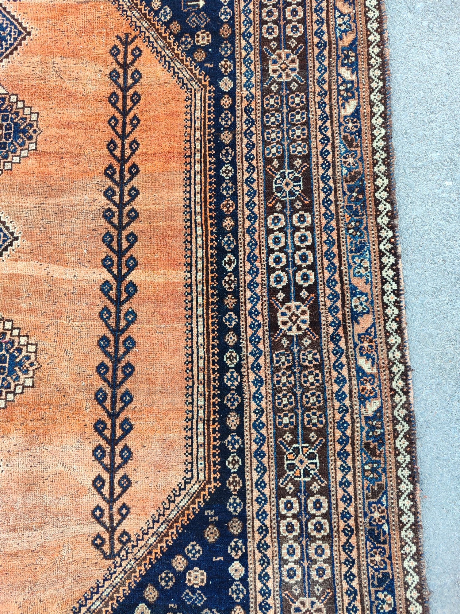 トルコ絨毯 トルコ絨毯に囲まれて撮影できるフォトスポットへ🇹🇷Visit a