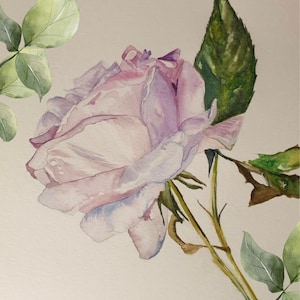 Watercolour of a silky rose. The original watercolour painting has a home in South Africa now, so I added a few leaves digitally and resized