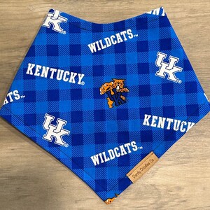 Cotton Kentucky Wildcats Dog/Pet Bandana