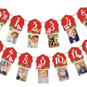 1st Birthday Monthly Photo Banner Barnyard Theme First Year Photo Banner Milestone Banner for First Birthday Party Decorations