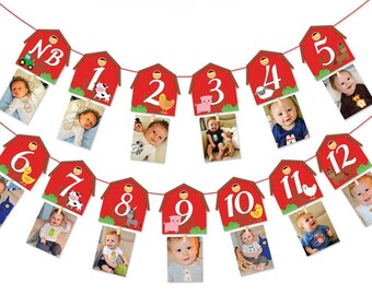 1st Birthday Monthly Photo Banner Barnyard Theme First Year Photo Banner Milestone Banner for First Birthday Party Decorations