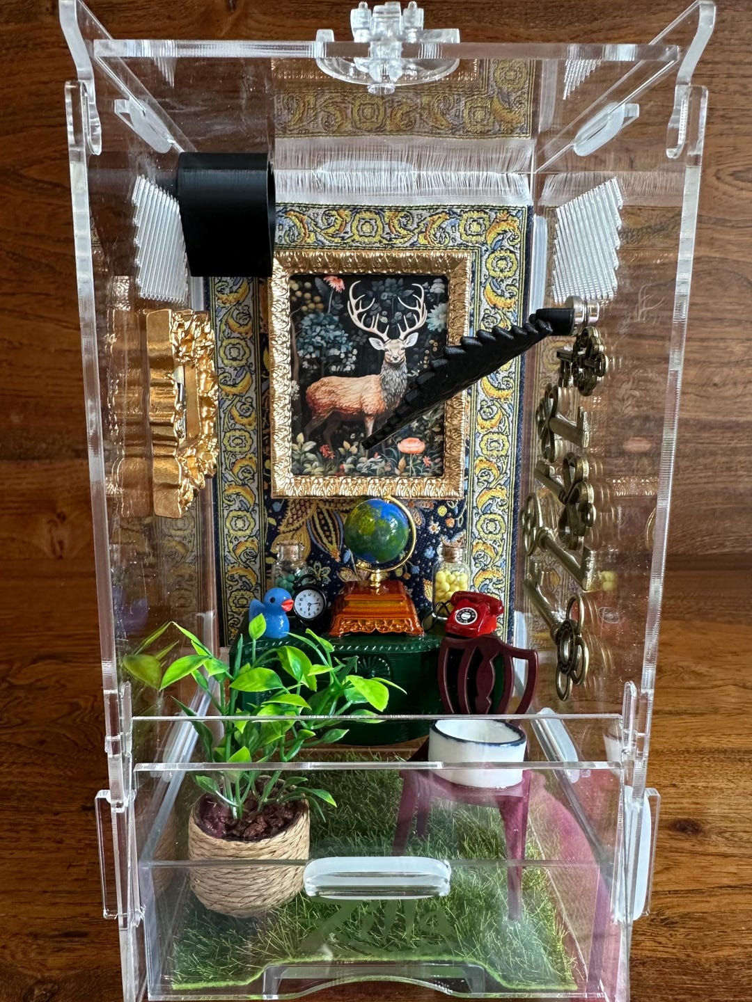 Boy’s Lounge Jumping Spider Enclosure Habitat,4x4x8, Jumping Spider ...