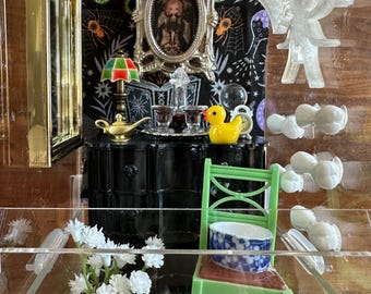 Pretty Spooky Jumping Spider Enclosure Habitat: 4x4x8 Acrylic Home