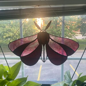 Rosy Moth Suncatcher