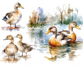 Watercolor Ducks Clipart, High Quality PNGs, Duck Illustrations for Paper Crafting and More! Digital Download and Commercial Use