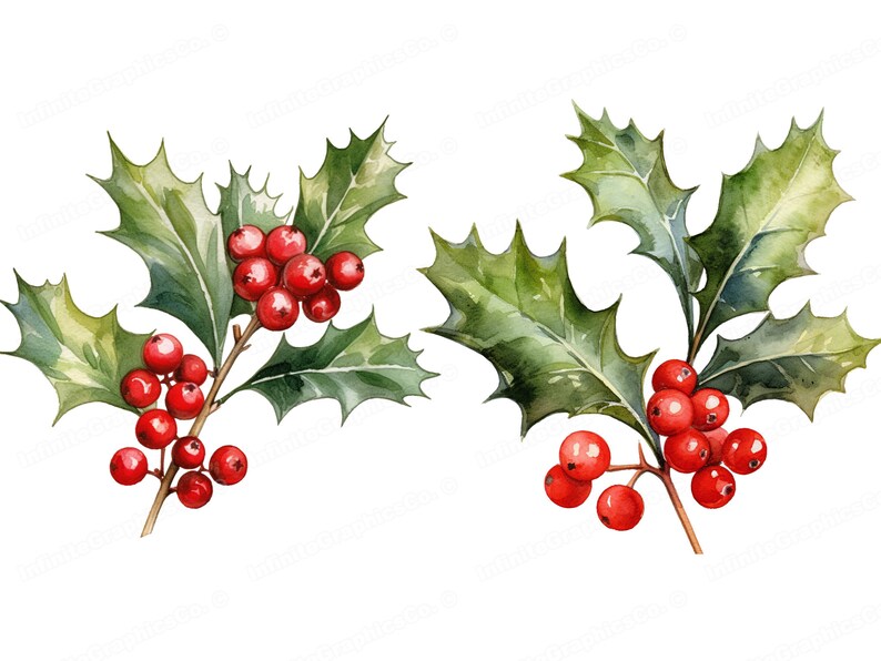 Clipart de houx de Noël aquarelle Noël Clip Art Etsy France