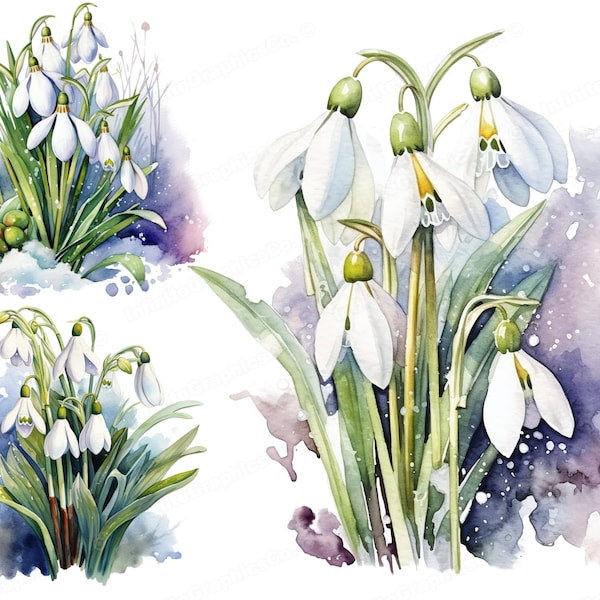 Watercolor Snowdrop Flowers, Snowdrop Clipart, 10 High-Quality PNG Files, Printable for Commercial Use