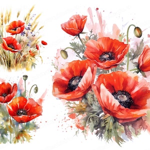 Watercolor Red Poppy Flowers, Poppy Clipart, Floral Clipart, Flower Clipart, Digital Download & Commercial Use image 1