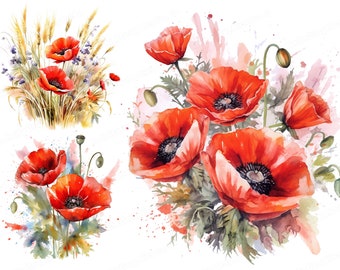 Fleurs de coquelicot rouge aquarelle, Clipart coquelicot, Clipart Floral, Clipart fleur, téléchargement numérique et utilisation commerciale