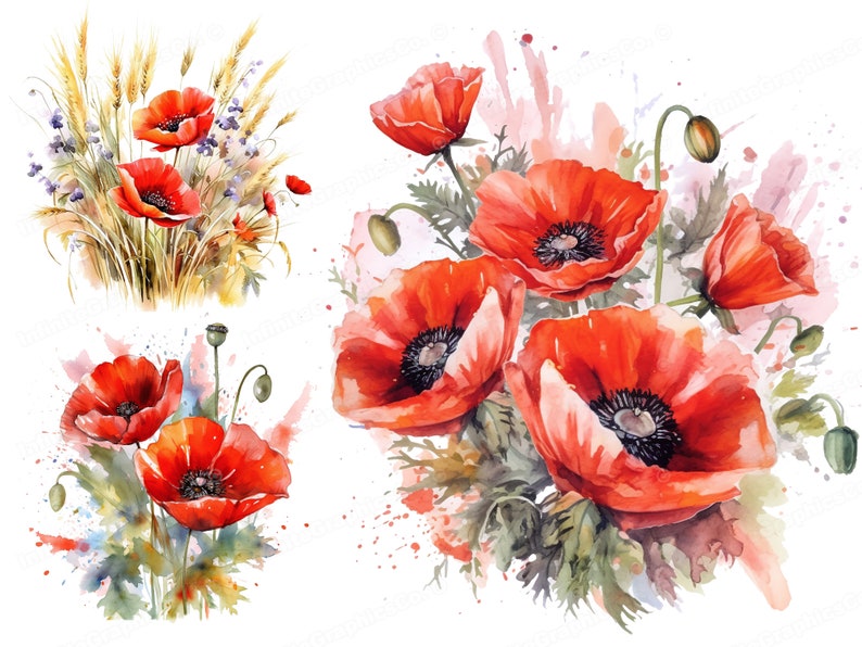 Watercolor Red Poppy Flowers, Poppy Clipart, Floral Clipart, Flower Clipart, Digital Download & Commercial Use image 1