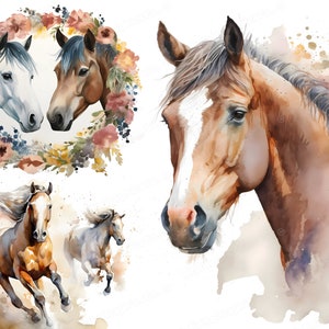 11 Watercolor Horse Clipart Set, Horse PNG, Watercolor Horse Sublimation Designs, Western Clipart, Farm Animals PNG, Clipart Bundle