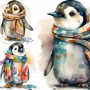 スカーフを巻いたペンギン 9 匹、デジタル イラスト バンドル、デジタル クラフト、ペーパー クラフト、かわいい水彩ペンギン クリップアート、商用利用