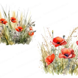 Watercolor Red Poppy Flowers, Poppy Clipart, Floral Clipart, Flower Clipart, Digital Download & Commercial Use image 2