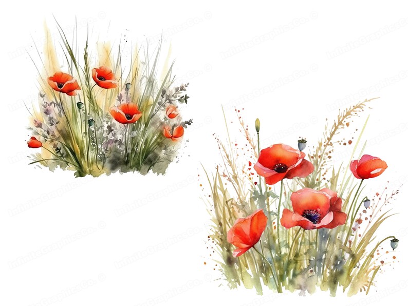 Watercolor Red Poppy Flowers, Poppy Clipart, Floral Clipart, Flower Clipart, Digital Download & Commercial Use image 2