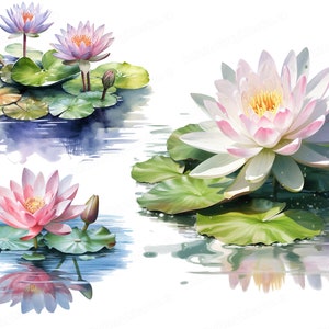 Clipart de nenúfar em aquarela, clipart de flores, clipart floral, nenúfares, clipart de lago, download digital e uso comercial