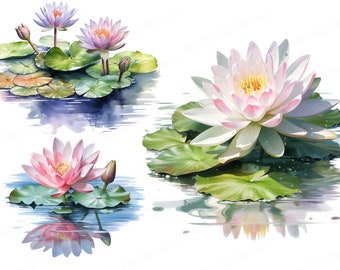 Watercolor Water Lily Clipart, Flower Clipart, Floral Clip Art, Water Lilies, Lake Clipart, Digital Download & Commercial Use