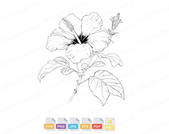 Simple Hibiscus SVG! Hibiscus Clip Art, Tropical Flower svg, Flower SVG, Summer SVG, Hawaii svg, Aloha svg, Hawaiian Flower svg